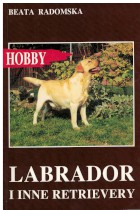 Labrador i inne retrievery