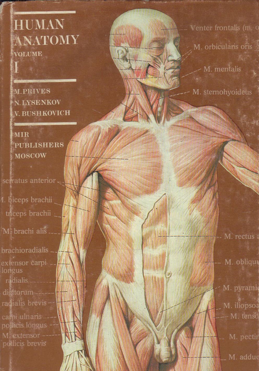Human Anatomy I-II